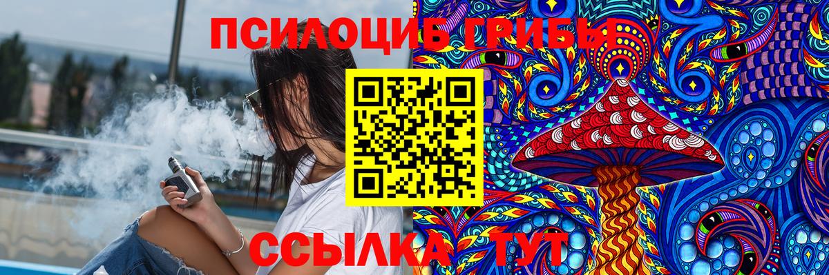 Борзя  Псилоцибиновые грибы Magic Shrooms  Вход с VPN  Псилоцибиновые грибы Psilocybe 