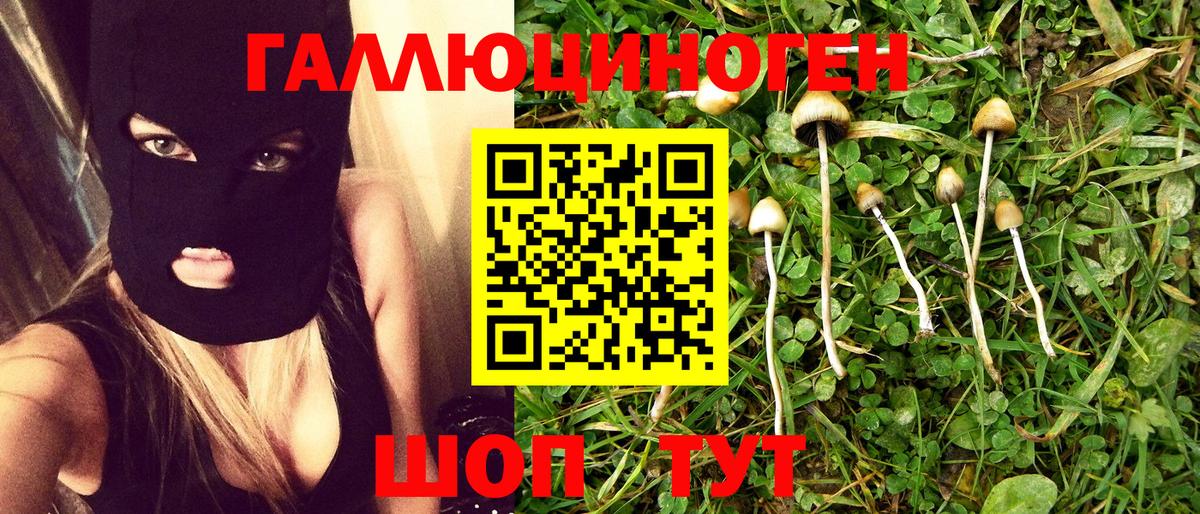 Галлюциногенные грибы ЛСД Борзя